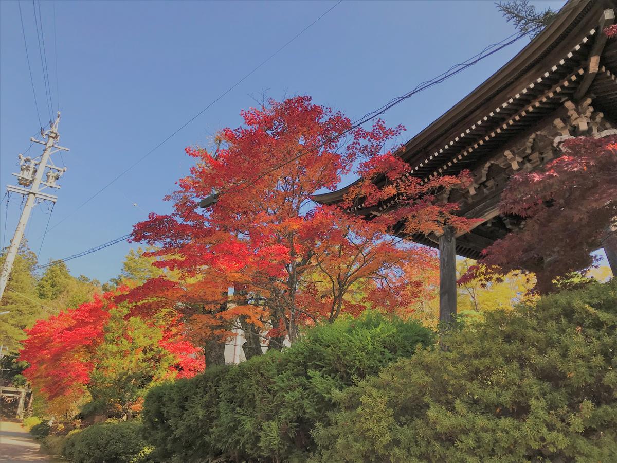 Guesthouse Daruma Takayama  Buitenkant foto